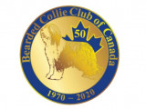 Bearded Collie Club Of Canada