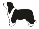 Nederlandse Bearded Collie Club