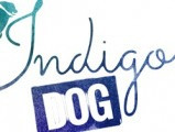Indigo Dog