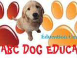 Abc Dog Éducation