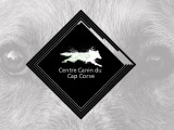 Centre Canin du Cap Corse