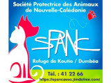 Société Protectrice des Animaux de Nouvelle-Calédonie (SPANC)