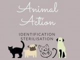 Animal Action NC