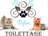 Dylan Toilettage