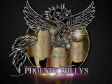 Phoenix Bully's Kennel