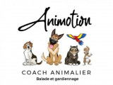 La pension d'Animotion