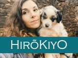 Hirokiyo éducation - La ferme des chats