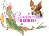 Gumhaven Kennels