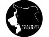 Coaching Dog