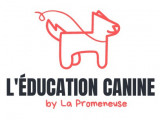 Educatrice canine et comportementaliste à Castres