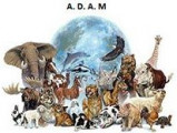 Association Des Animaux Maltraités (ADAM)
