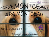 SPA de Montceau-les-Mines - Refuge Jean Roche