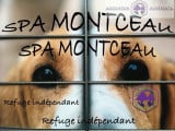 Pension de la SPA de Montceau-les-Mines