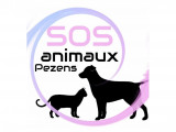 SOS Animaux Pezens
