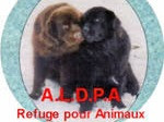 Refuge pour animaux ALDPA