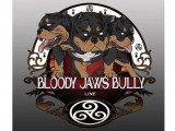 Bloody jaws bully