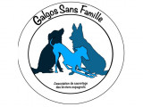 Galgos Sans Famille