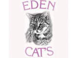 Eden Cat’s