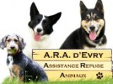 Assistance Refuge Animaux (ARA)