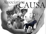 CAUSA (Comité d'Action et d'Union pour la Sauvegarde des Animaux)
