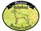 Rhodesian Ridgeback Rescue France