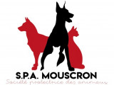 Société Protectrice des Animaux de Mouscron (S.P.A Mouscron)