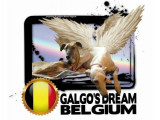 Galgo's Dream Belgique