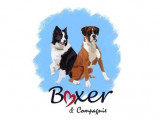 Boxer & Compagnie