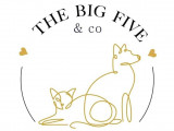 The Big Five & Co