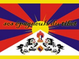 SOS Épagneuls du Tibet