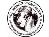 SAPA / Pension du refuge SOS animaux Pecquencourt