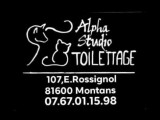 Alpha Studio