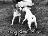 Long Quiet River