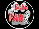 Echo Paw