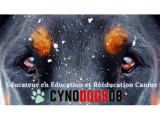 CynoDogs08