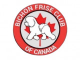 Bichon Frise Club Of Canada