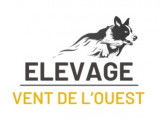 Vent de l'Ouest