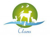 Centre d'adoption Clara Auvergne