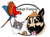 Adopt Forever