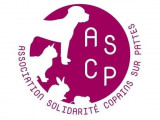 Association Solidarité Copains sur Pattes (ASCP)