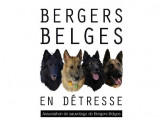 Bergers Belges en Détresse