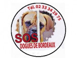 SOS Dogues de Bordeaux