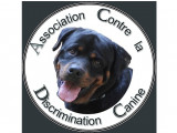 Association Contre la Discrimination Canine (ACDC)