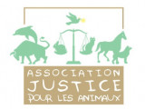Justice Pour Les Animaux