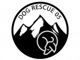 Dog Rescue 05