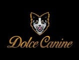 Dolce Canine