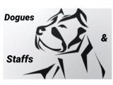 Dogues & Staffs