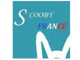 Scooby France
