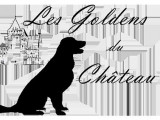 Les Goldens du Château