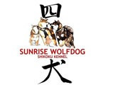 Sunrise Wolfdog